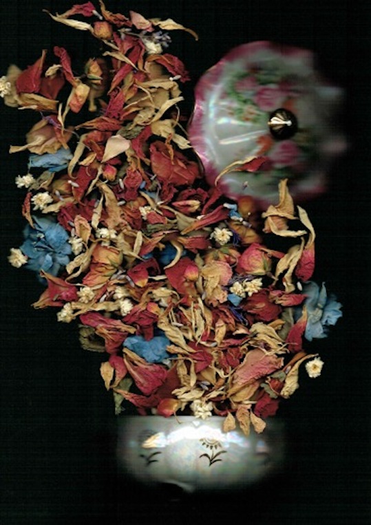 Celeste Sterling | Summer Potpourri| LR | McAtamney Gallery and Design store | Geraldine NZ